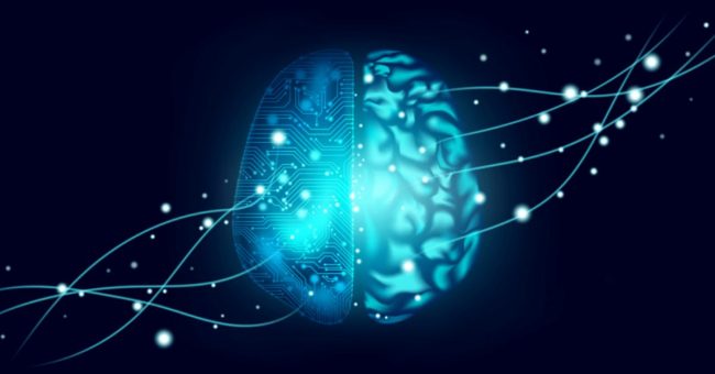 disegno cervello digitale per business intelligence